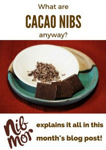 What are NibMor “cacao nibs” anyway?!