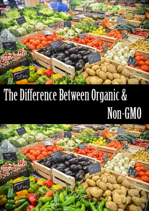 Take Back Your Grocery Cart: The Difference Between Organic & Non-GMO and Why They Are so Important